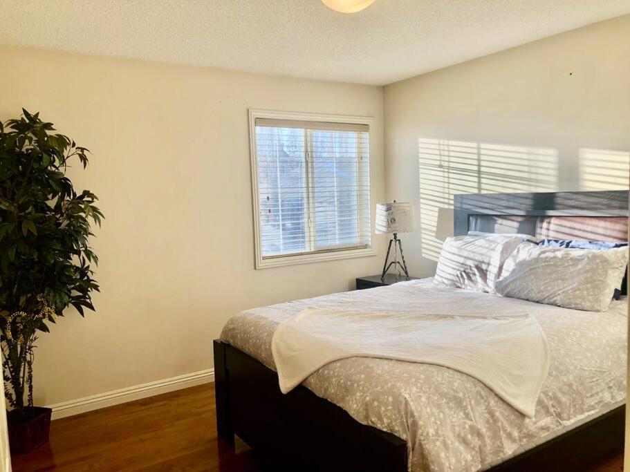 הוילה YYC 2500 Sq House In Springbank Hill Bl 261818 מראה חיצוני תמונה