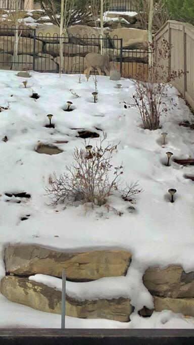 הוילה YYC 2500 Sq House In Springbank Hill Bl 261818 מראה חיצוני תמונה
