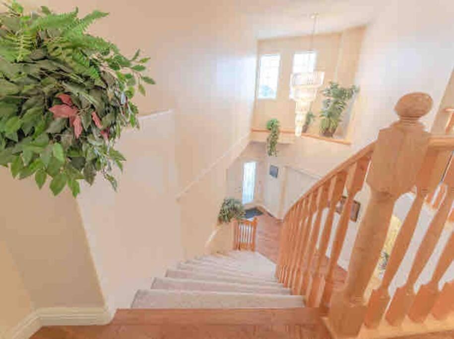 הוילה YYC 2500 Sq House In Springbank Hill Bl 261818 מראה חיצוני תמונה