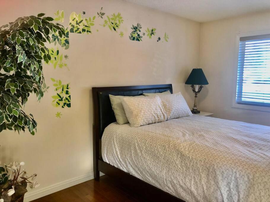 הוילה YYC 2500 Sq House In Springbank Hill Bl 261818 מראה חיצוני תמונה