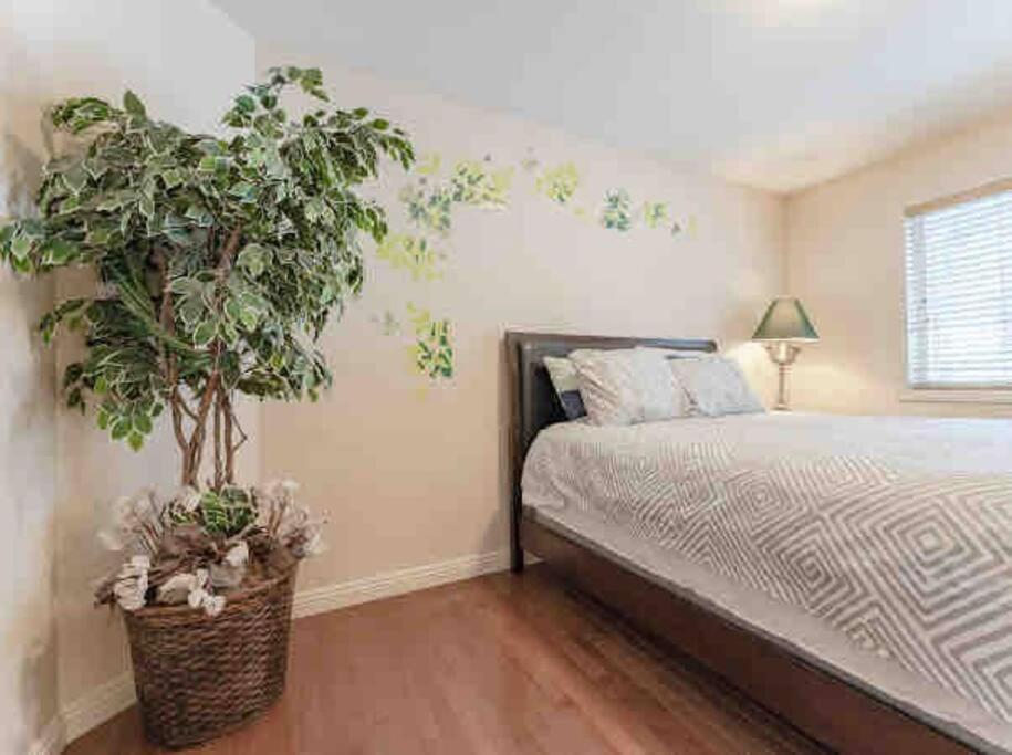 הוילה YYC 2500 Sq House In Springbank Hill Bl 261818 מראה חיצוני תמונה